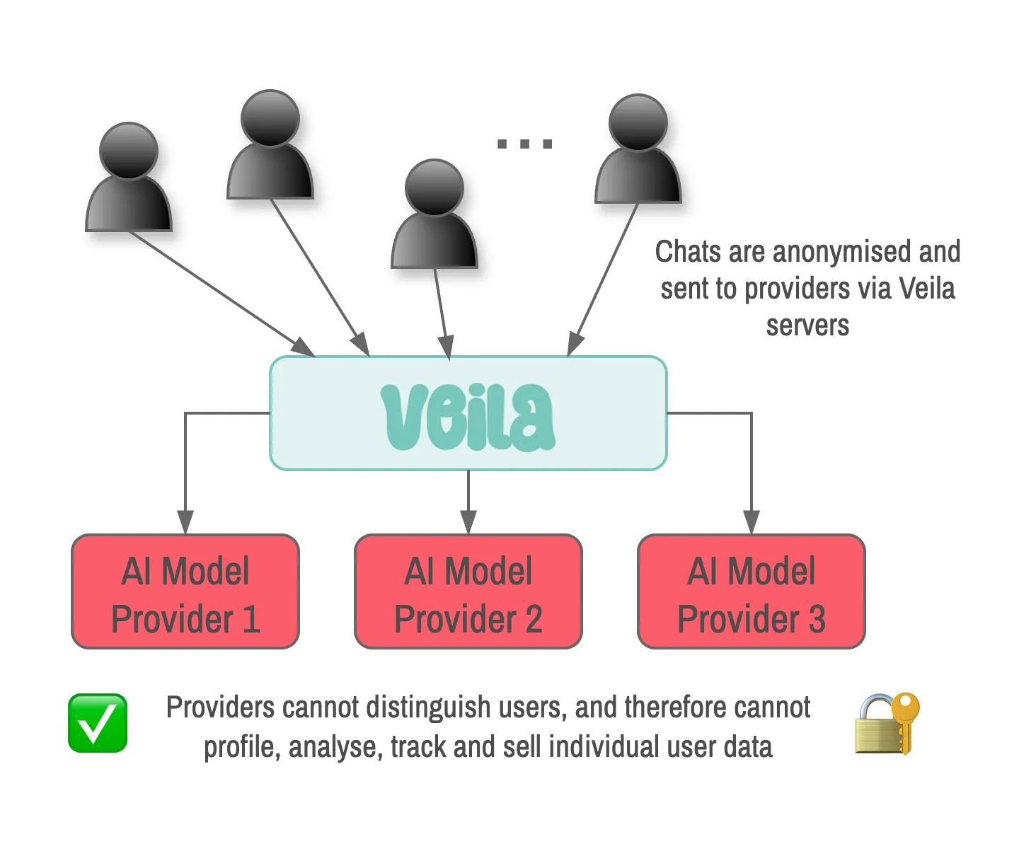 Veila AI Assistant usage showing anonymized connection through Veila servers